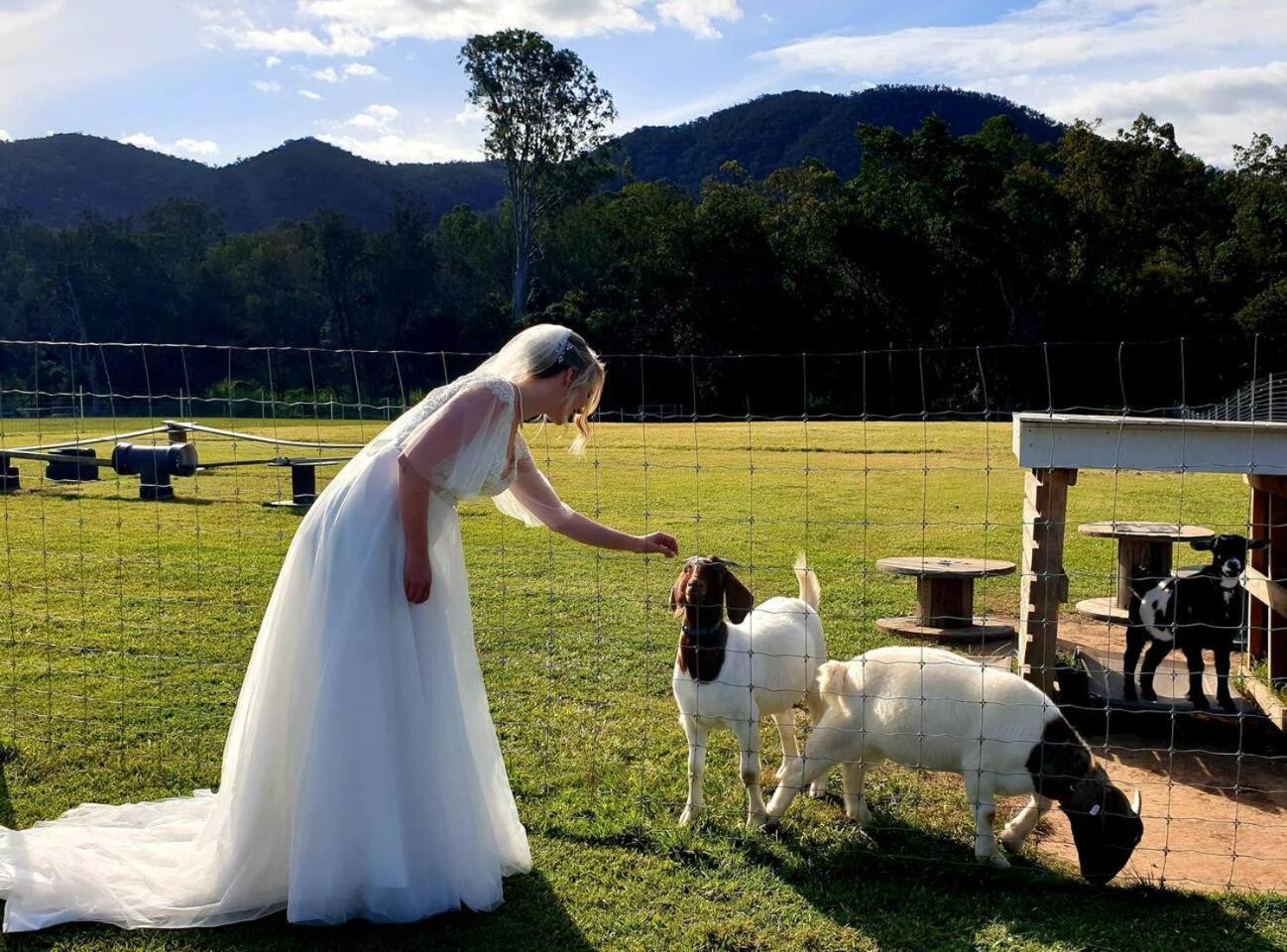 Fig Tree Farm B&B Highvale-Farmstay Near Brisbane! Экстерьер фото