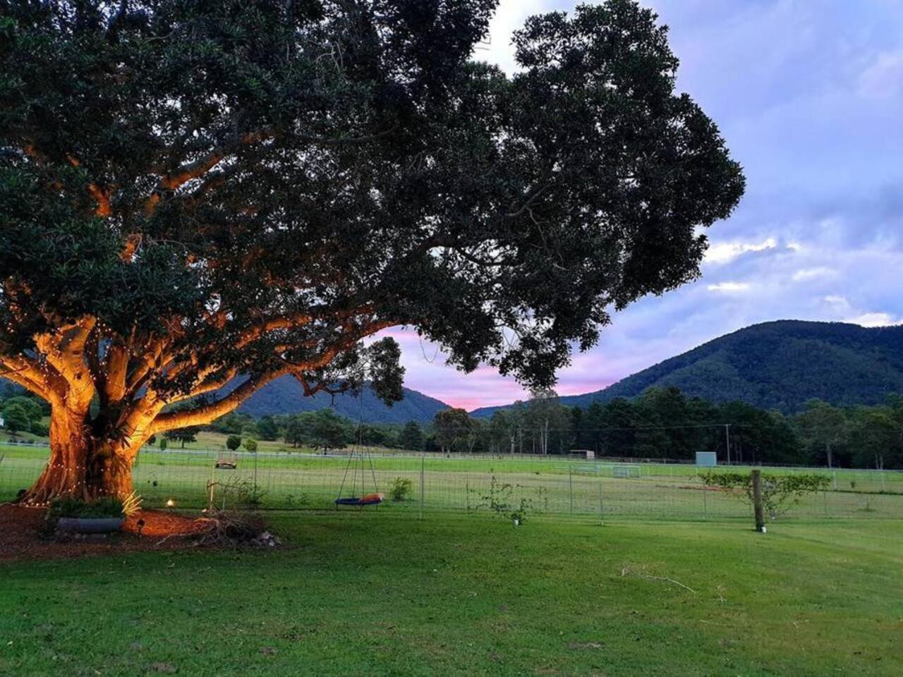 Fig Tree Farm B&B Highvale-Farmstay Near Brisbane! Экстерьер фото