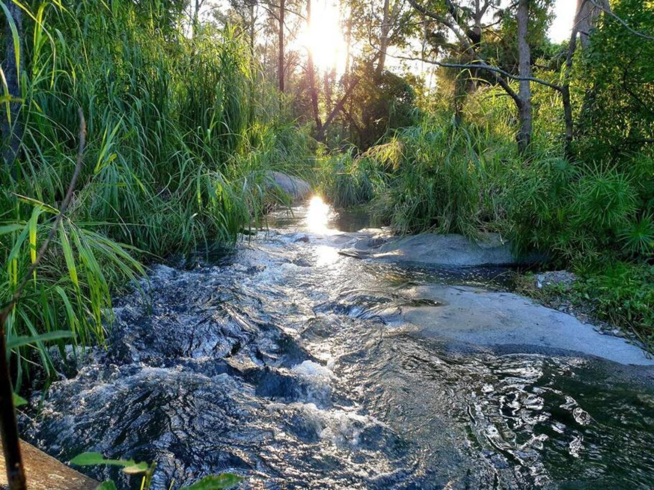 Fig Tree Farm B&B Highvale-Farmstay Near Brisbane! Экстерьер фото