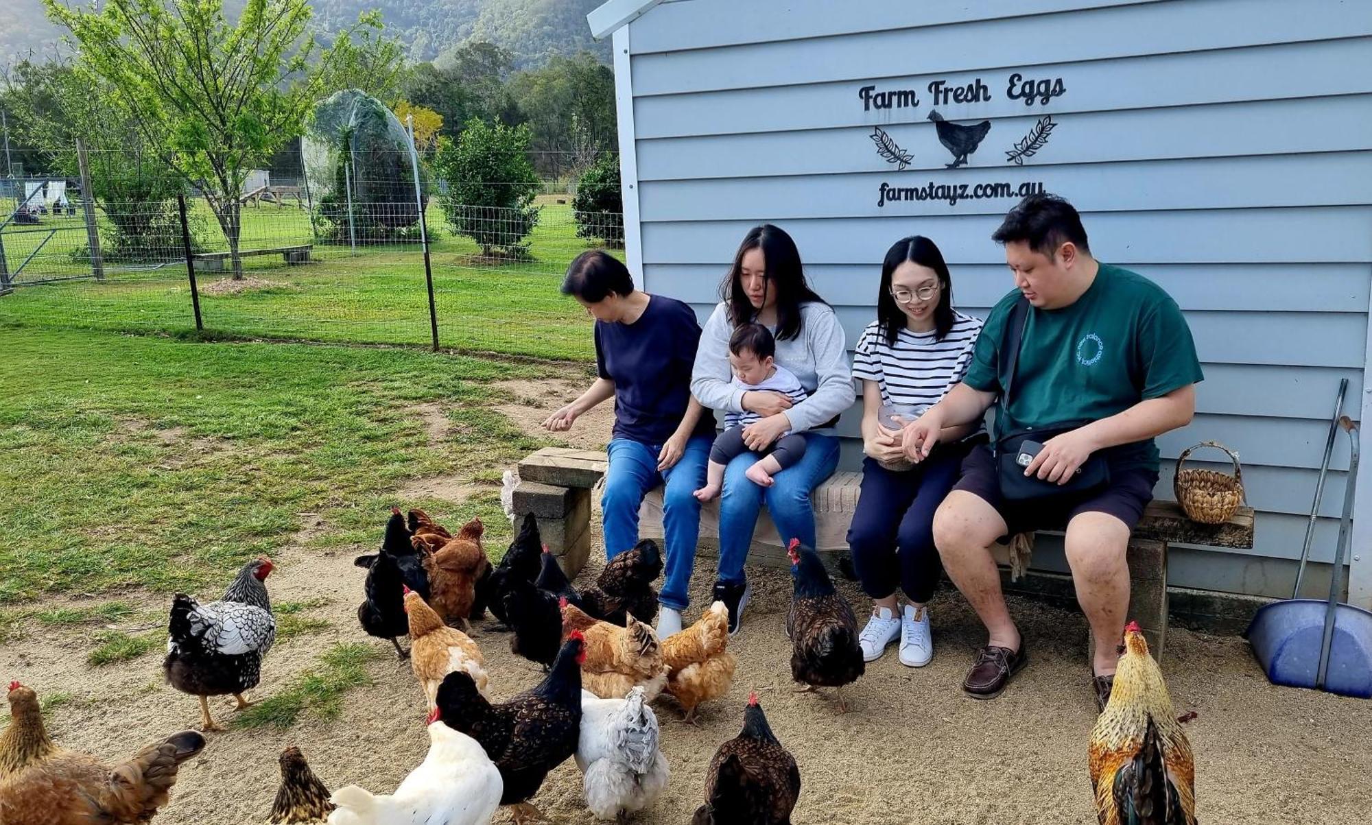 Fig Tree Farm B&B Highvale-Farmstay Near Brisbane! Экстерьер фото